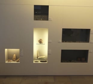 Museum für Vor- und Frühgeschichte