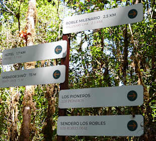 Wandern San Gerardo de Dota
