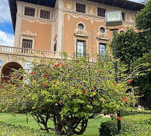 Altstadt Palma de Mallorca