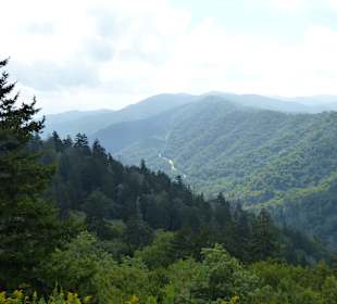 Blick vom Clingman's Dome