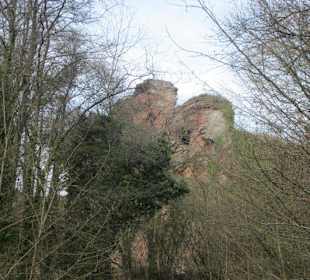 Schöne Burgruine Drachenfels