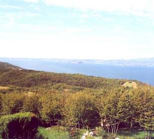 Blick in Richtung Sirmione