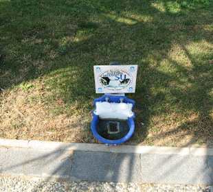 Hundetränke in Marina