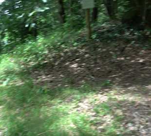 Wanderrunde Emeringen zum Rechtenstein