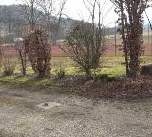 Rundwanderung durch den Rauhen Rammert Hemmendorf