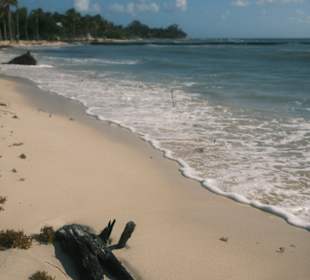 Strand Playa del Carmen/Playacar
