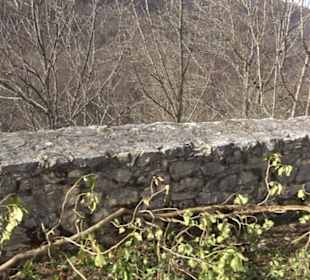 Burgruine Hohenwittlingen