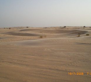Ausflug in die Sahara