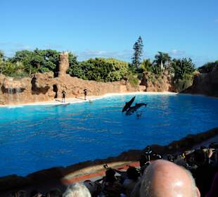 Loro Parque 