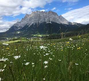 Wandern Biberwier