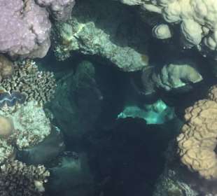 Schnorcheln Marsa Alam