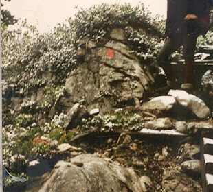 Kärlinger-Haus Watzmann Aufstieg