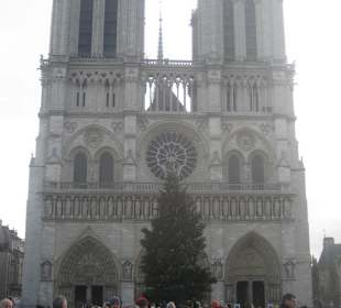 La facciata in tutta la sua altezza