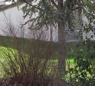 Katholische Kirchengemeinde