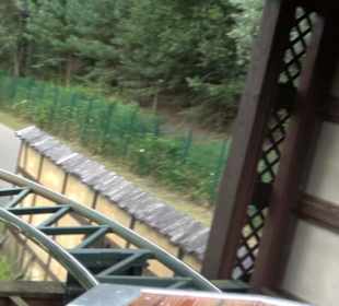 Land der Ritter - Drachenjagd