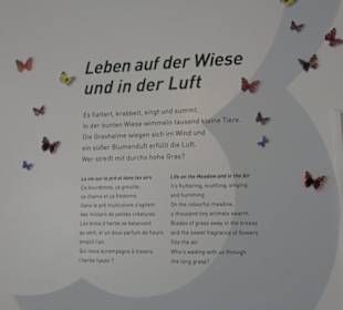 Museum Natur und Mensch