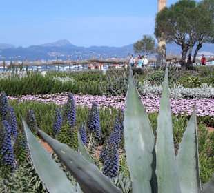 Gepflegte Strandpromenade