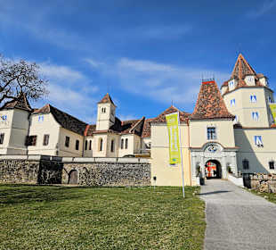Sport & Freizeit