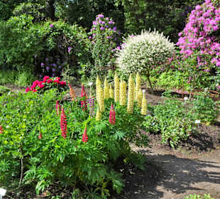 Spaziergang durch den Botanischen Garten Bremen