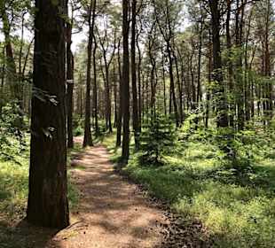 Wandern Trassenheide