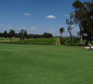 Stellenbosch Golf Club