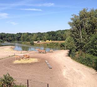 Safaripark