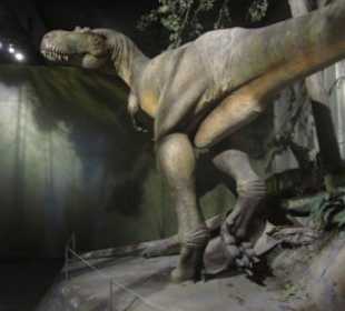 Rekonstruktion: Echsenbeckensaurier