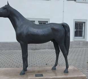 Haupt- und Landgestüt Marbach