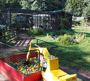 Wildpark Osterzgebirge
