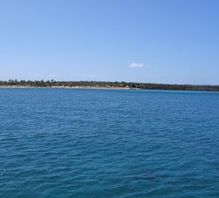 Isla Catalina