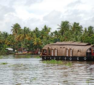 Okolice Alapphuzy - Backwater / Południowe Indie