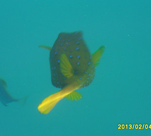 SUNRISE Grand Select Crystal Bay Resort