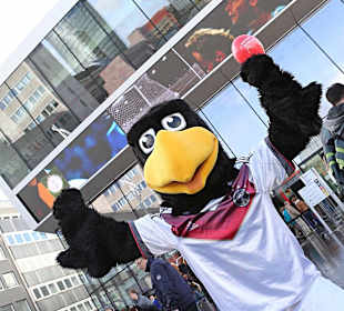 Paule im Deutschen Fußballmuseum