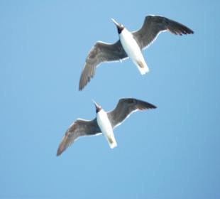 Ausflug Inselträume