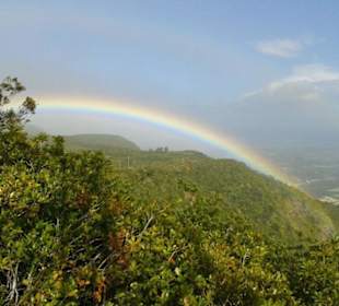 Mauritius Regenbogenland - grünes Paradies