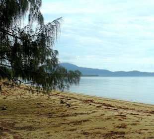 Wonga Beach Caravan und Camping Park