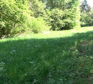 Premiumwanderweg Hochgehschätzt