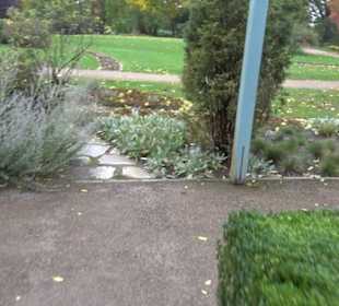 Karl-Foerster-Garten