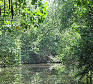 Black River