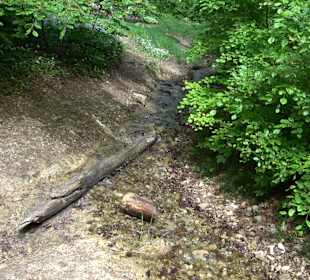 Breitenbachquelle
