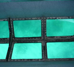 Glasbottomboat Tour, nichts zu sehen