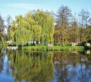 November im Stadtpark Wildeshausen