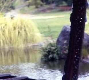 Maori-Kriegskanu: Detail