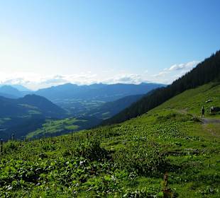 Blick ins Tal