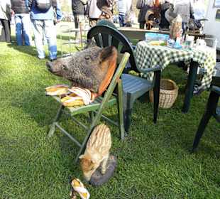 Burgdorfer Pferde- und Hobbytiermarkt