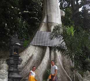 Bali 2010