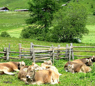Wanderung zur Schliniger Alm