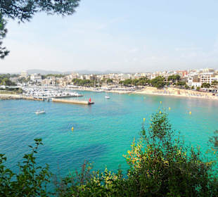 Hafen von Cala Ratjada