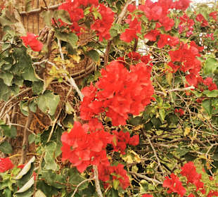 Hurghada Marina Boulevard