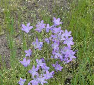 Eindruck vom Spaziergang Ostheimer Streifberg-Tour